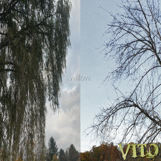 Willow cover art