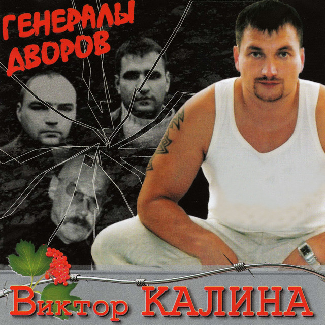 Генералы дворов калина