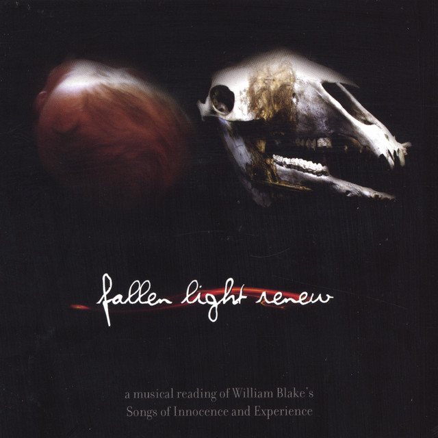 Fallen Light Renew cover