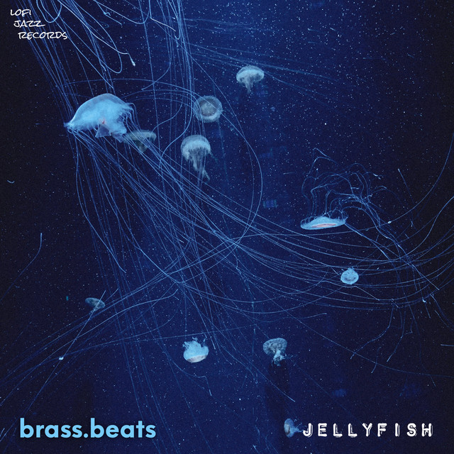 Jellyfish