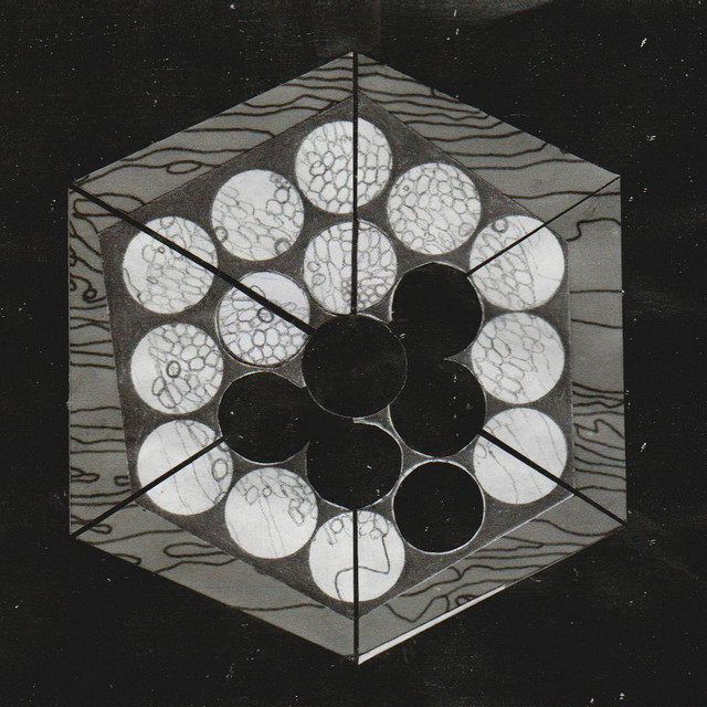 Qualm cover art