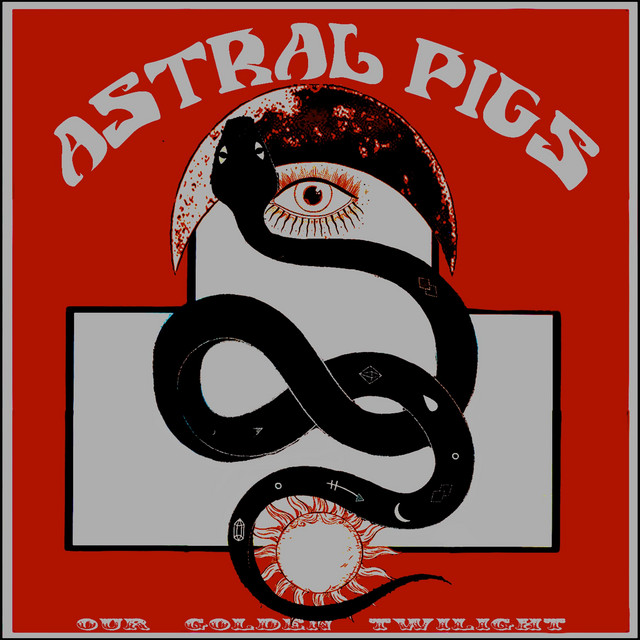 Astral Pigs Photo