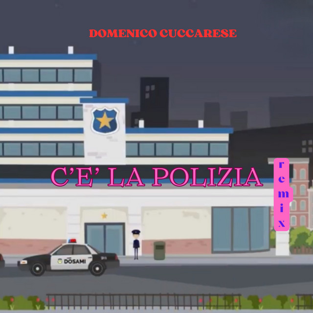 C'E' LA POLIZIA - remix