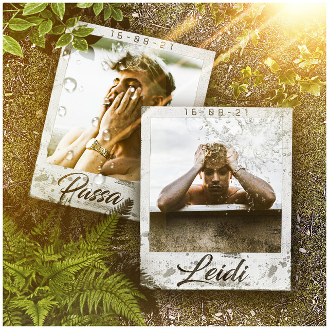 LEIDI cover art