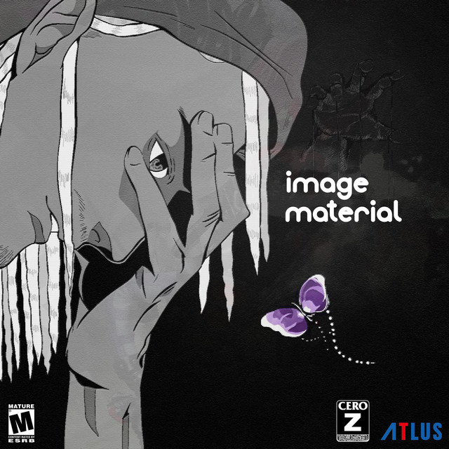 IMAGE_MATERIAL cover art