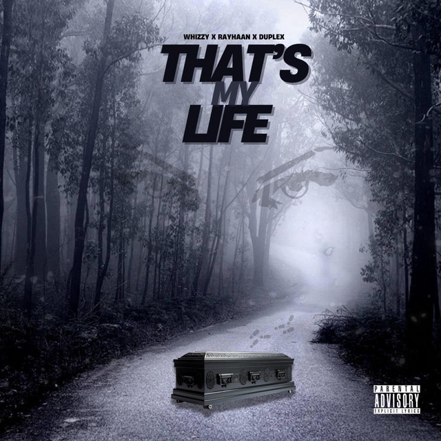 Thats My Life - song and lyrics by Whizzy, Rayhaan, Duplex | Spotify