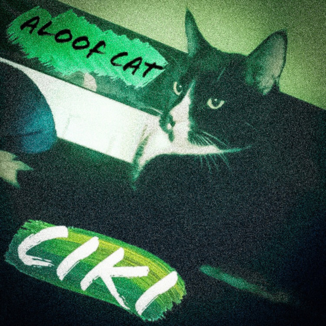Aloof Cat cover art