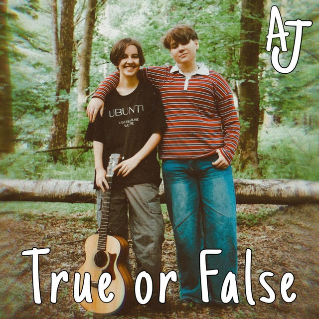 True or False cover art