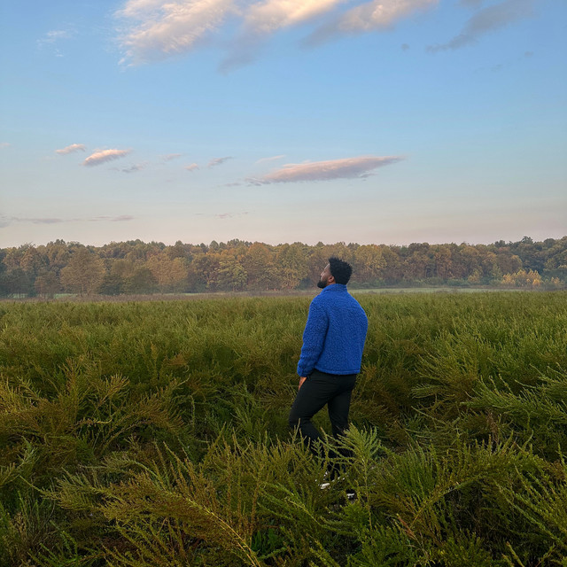 The Grass Is Greener on This Side cover