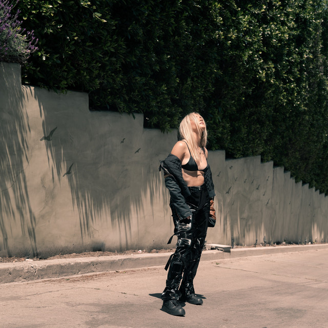 No Fcks cover art