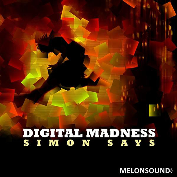 Digital Madness - Secret Groovers Remix cover art