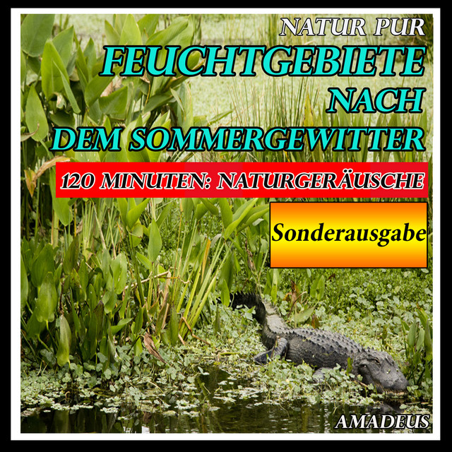Feuchtgebiete nach dem Sommergewitter: Natur pur: Sonderausgabe cover art