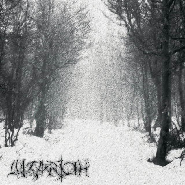 Обкладинка Wizarloth — ABSURD