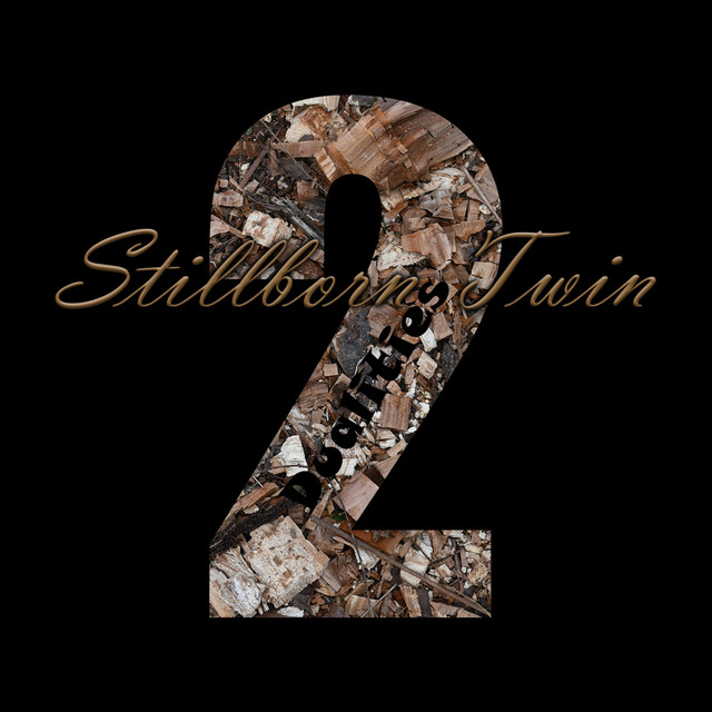 Dualities cover art