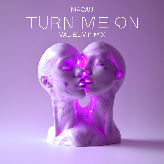 TURN ME ON - Val-El VIP Mix - Single by Macau | Spotify