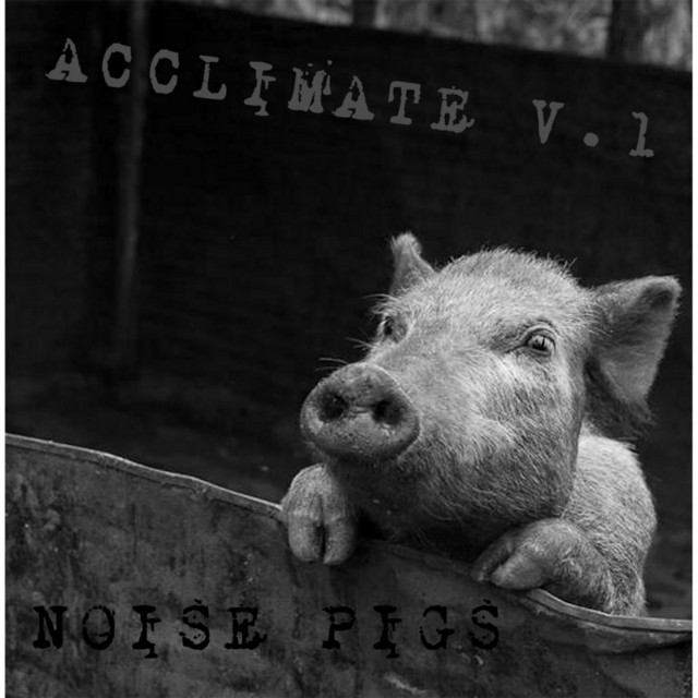 Noise Pigs cover