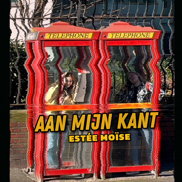 Spotify cover art for Aan Mijn Kant by Estée Moïse