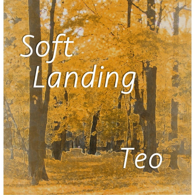 Soft Landing cover art