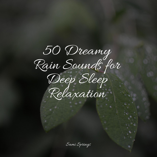 50 Dreamy Rain Sounds for Deep Sleep Relaxation - Album by Soothing ...