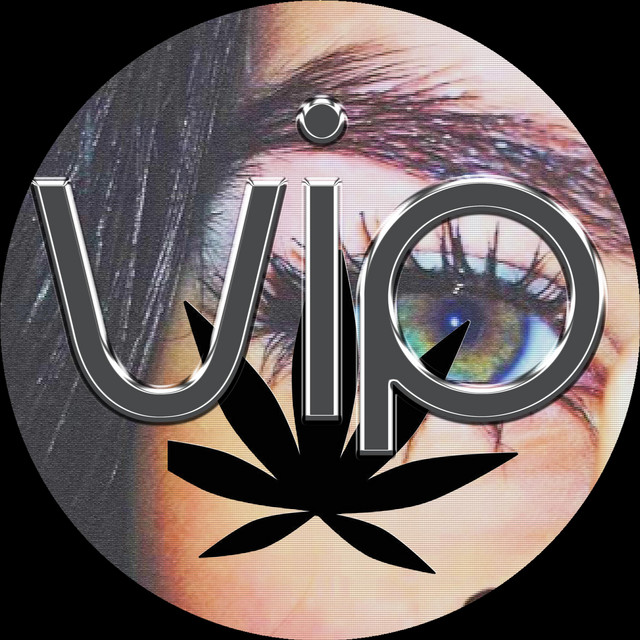 V.I.P. cover art