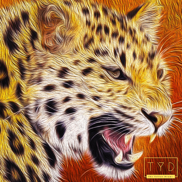 Cheetah