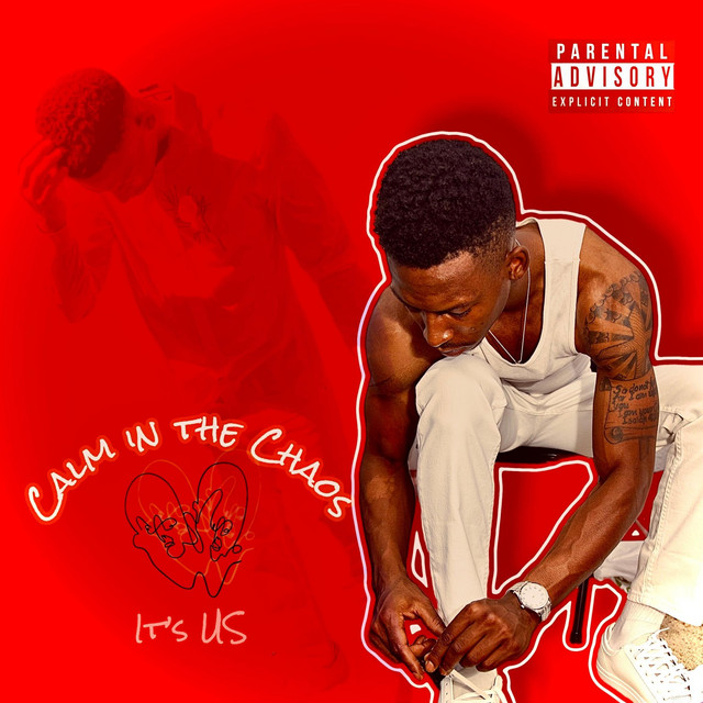 Calm in the Chaos cover art