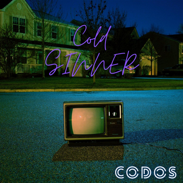 COLD SINNER. cover art