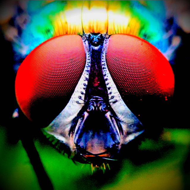 New To This cover art