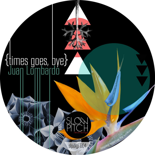 Time Goes - Belfie Remix cover art