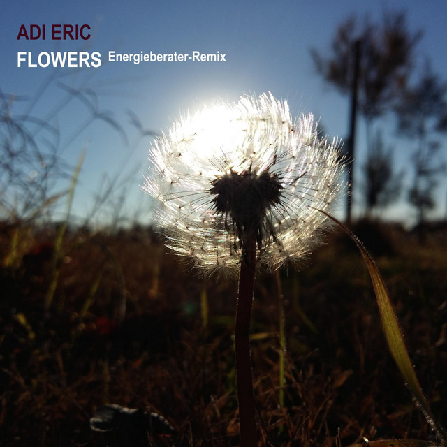 Flowers - Energieberater Remix