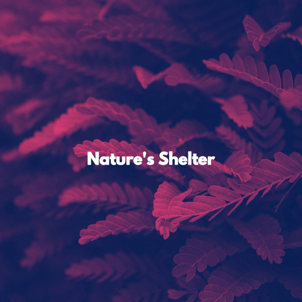 Nature's Shelter cover art