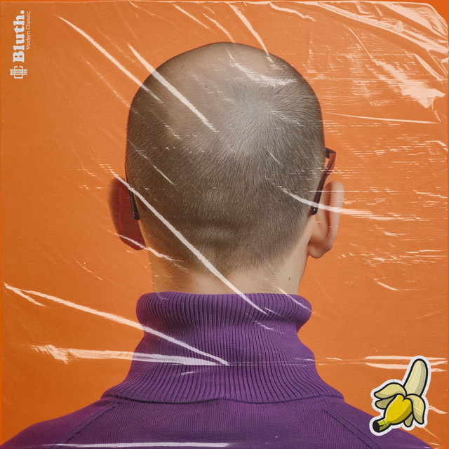 Bluth. cover art