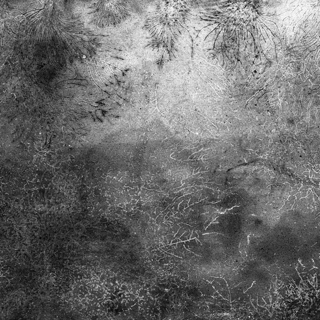 Apocalipsa (single)