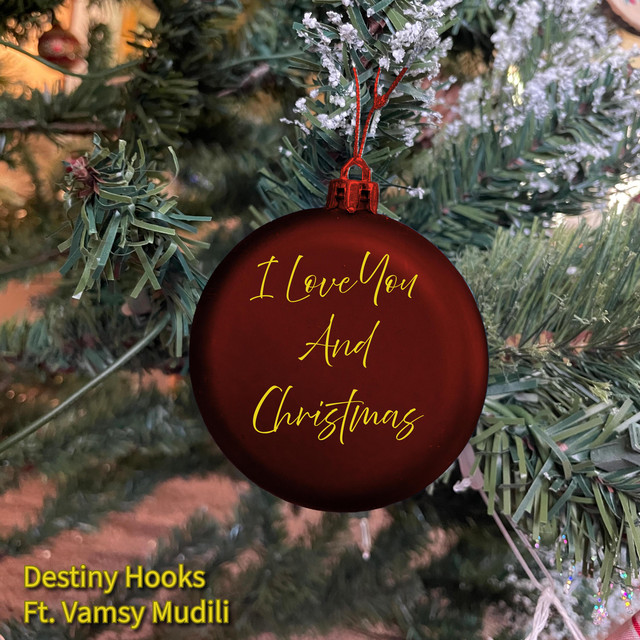 I Love You And Christmas (Acoustic Version)