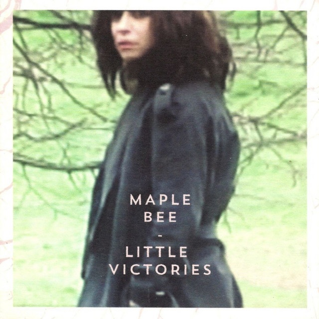 Little Victories cover art
