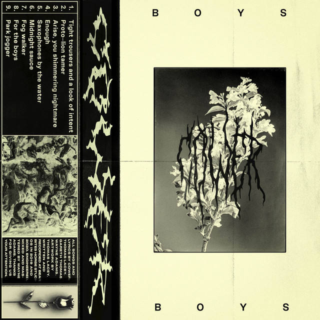 Boys cover art