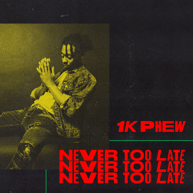 Never Too Late cover art