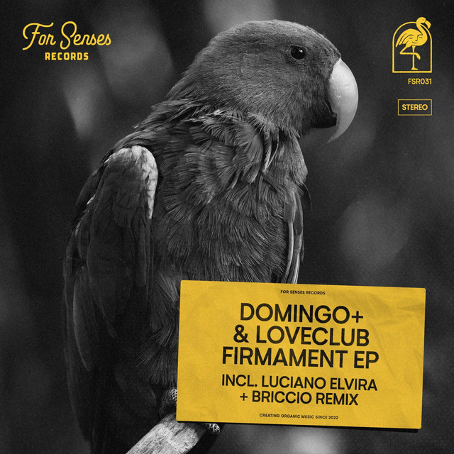 Firmament - BRICCIO Remix cover art