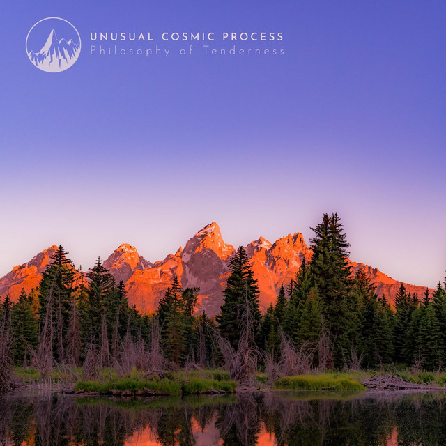 Philosophy of Tenderness by Unusual Cosmic Process album cover