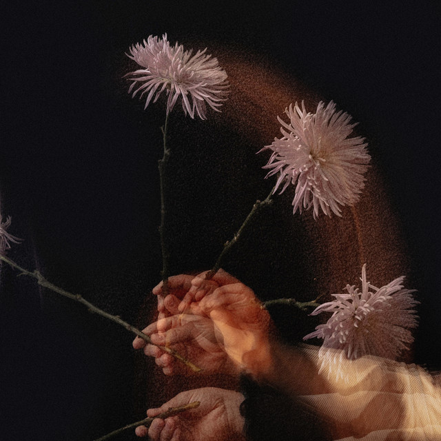 Dying Wish cover
