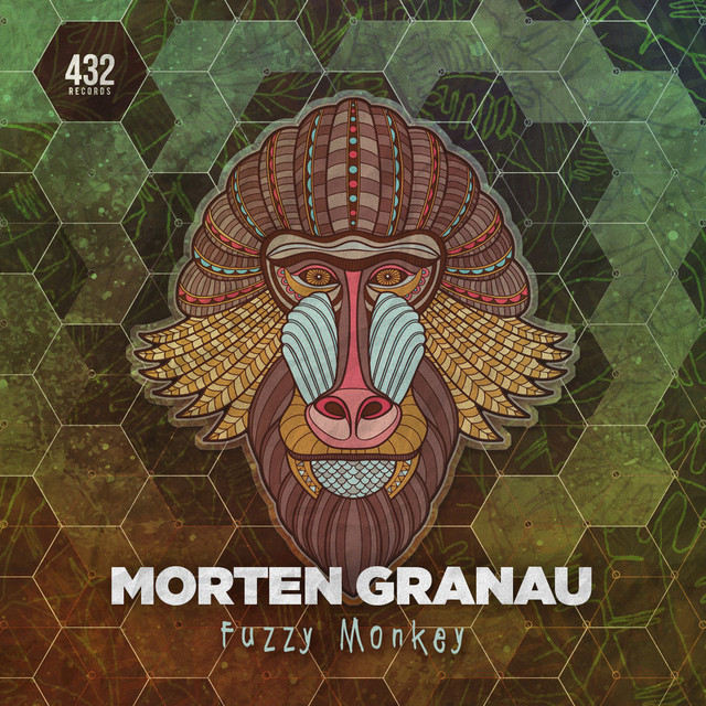 Fuzzy Monkey album art