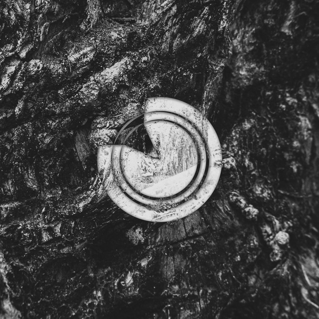 Hypnotic Resurrection cover art