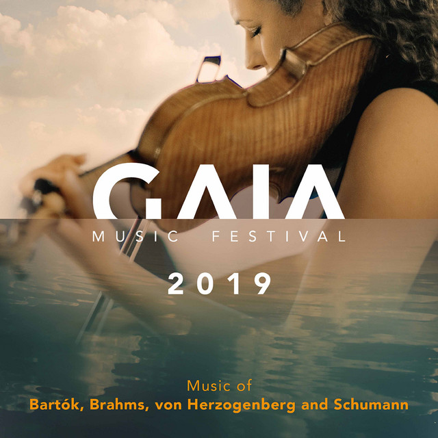GAIA Music Festival 2019 (Live) cover