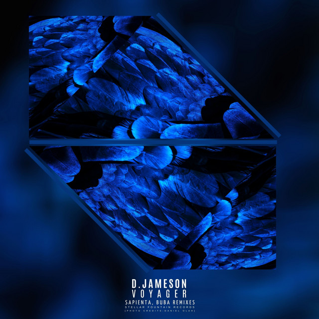 Voyager - Buba Remix cover art