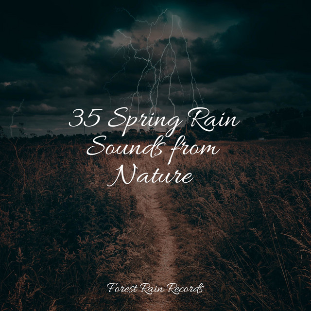 35 Spring Rain Sounds from Nature - Album by Tinnitus | Spotify
