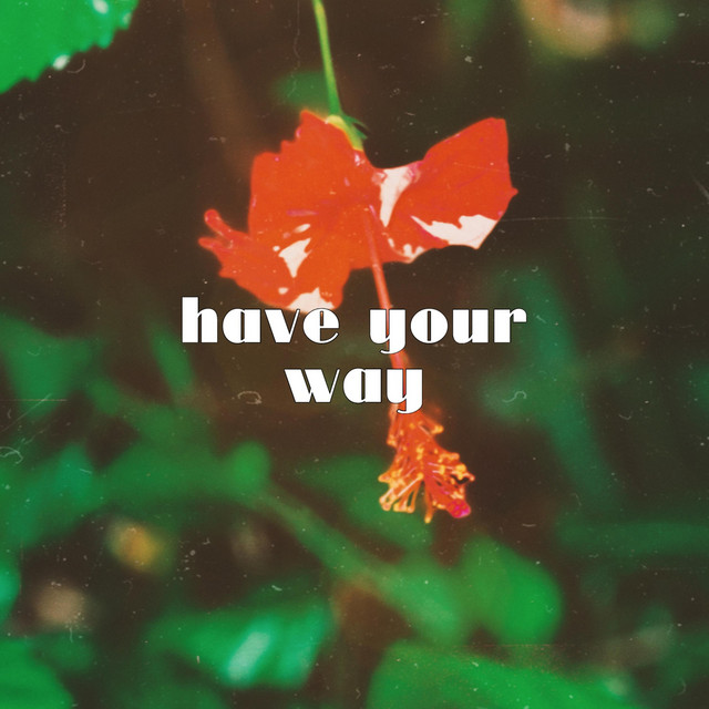 have your way cover art
