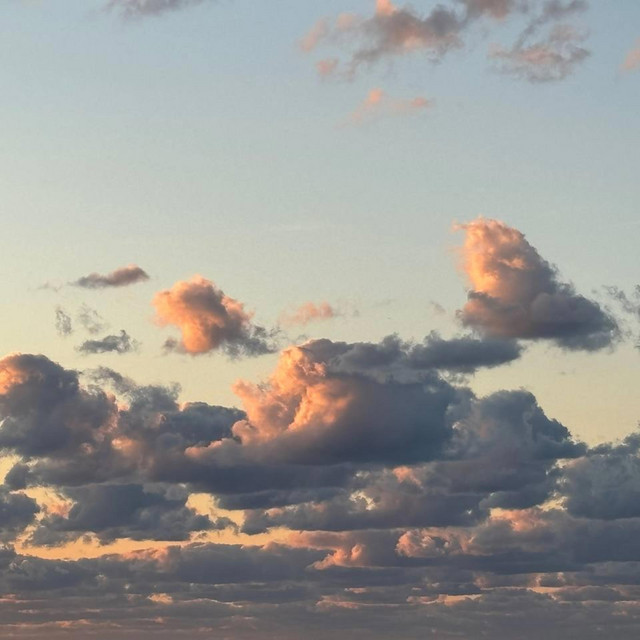 not enough cover art