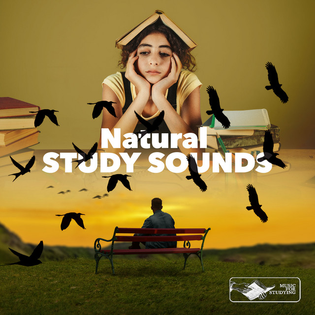 Natural Study Sounds - Album by music for studying | Spotify