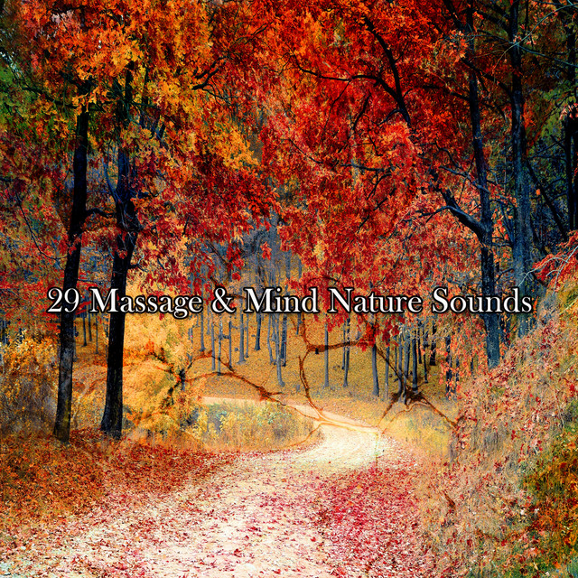29 Massage & Mind Nature Sounds - Album by Nature Sounds Artists | Spotify