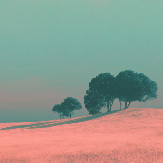 Where The Light Rests